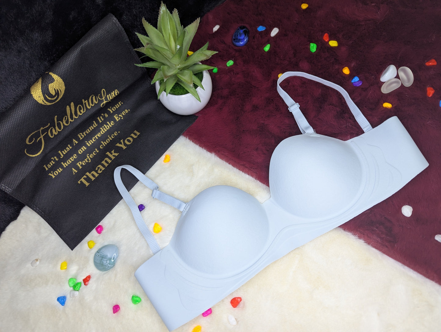 Seamless Soft Padded Bra – Everyday Comfort & Perfect Shape